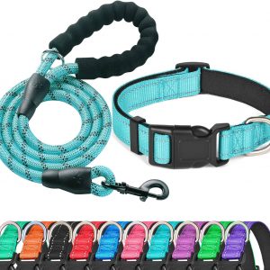 Leashes and collars
